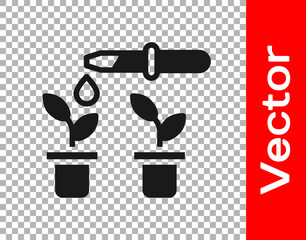 Black Drop of water drops from pipette on plant icon isolated on transparent background. Medical or agricultural experiments. Fertilizers and pesticides. Vector.