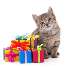 Kitten with Christmas gifts.