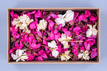 Dried white and pink geranium flowers in a box