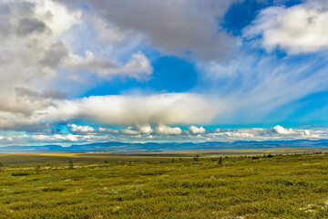 northern tundra and the mountain range on a summer day