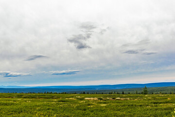 Fototapeta na wymiar northern tundra and taiga in the distance on a summer day