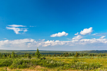 Fototapeta na wymiar northern tundra and sky with clouds on a summer day