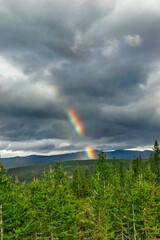 Fototapeta na wymiar rainbow over mountains and forest on a cloudy summer day