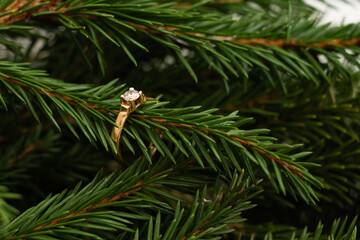 Fototapeta premium Gold engagement ring worn on a spruce branch
