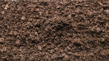 Black land for plant background.