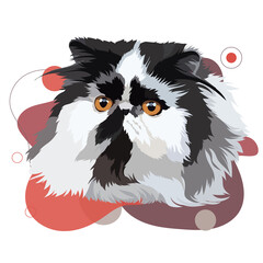 Persian cat vector illustration on a colored background. Persian portrait of a black and white cat.
