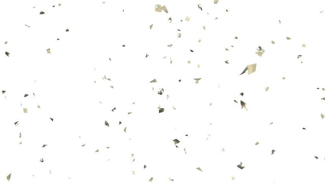 紙吹雪 金 銀 パーティクル キラキラ 白背景 [ループ対応] [別Verあり]