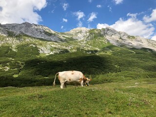 Fototapeta na wymiar von Mittenwald Scharnitz Bayern durch das Karwendeltal ins Karwendelhaus