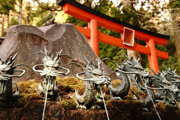 Nine head dragon statue water server at hand washing place of Kuzuryu Jinja Shrine Shingu at Hakone...
