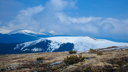Hiking at on a high altitude pasture during spring season. The mountain peaks and crests are still covered in snow. Capatanii Mountains, Carpathia, Romania. 