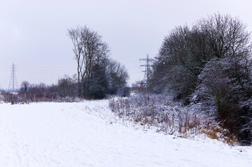 Snowy landscape background scene