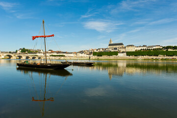 Fototapeta na wymiar The Cathedral of St. Louis, Blois, France