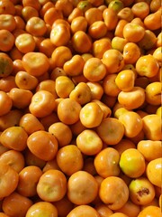 oranges at the market