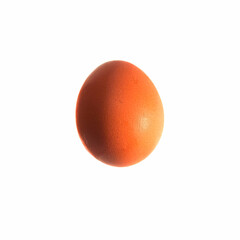 One brown chicken egg isolated on a white background. Close-up