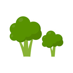 Broccoli flat icon isolated. Healthy food vector illustration.