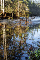Rachel | Bayerischer Wald | Nationalpark | Wandern | Wanderweg