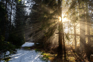 Rachel | Bayerischer Wald | Nationalpark | Wandern | Wanderweg