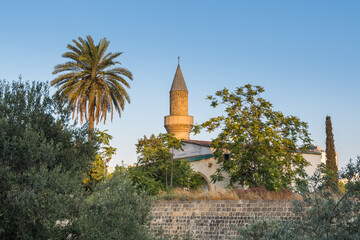 Turkish  Bayraktar Mosque minaret and palm tree under sunset in Southern Nicosia, Cyprus.