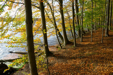 Ruhrstausee, Naturschutzgebiet Bahnwald, Holzwickede, Nordrhein-Westfalen, Deutschland, Europa