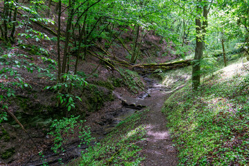 Fototapeta premium Wandern bei St. Goar