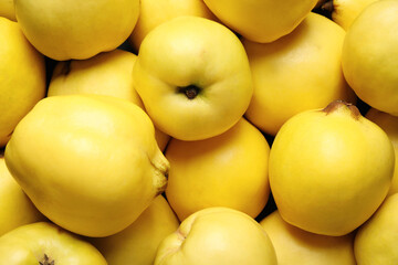 Fresh ripe organic quinces as background, closeup