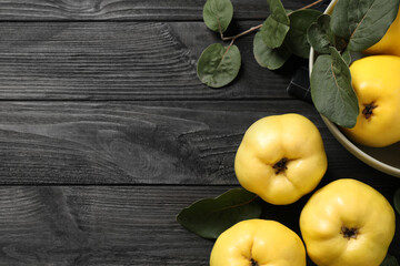 Fresh ripe organic quinces with leaves on black wooden table, flat lay. Space for text