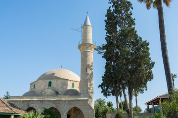 Fototapeta na wymiar Hala Sultan Tekke or the Mosque of Umm Haram near with palm tree, a mosque and tekke complex on the west bank of Larnaca Salt Lake, in Larnaca, Cyprus