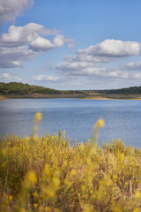 Nature landscape of Minutos Dam reservoir lake with yellow flowers on a sunny day in Alentejo, Portugal