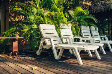 Lounge chairs near the pool at the hotel.