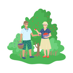 Obraz na płótnie Canvas Retired old people, hobbies and activities, picking berries in the garden, walking in nature. Vector cartoon illustration