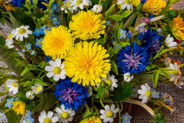 Wildflowers close-up. Bright wild flowers top view. Dandelions, forget-me-nots, cornflowers and daisies. Bright floral background. Summer flowers.