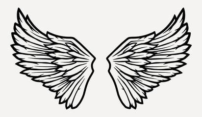 Pair of bird wings with feathers for design