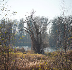 Inn bei Raubling / A8