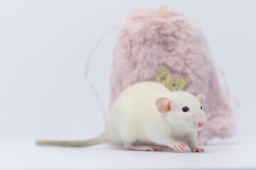 A white decorative rat hid in a pink fur bag. The rat stuck out its nose and sniffs.