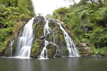 Owharoa Falls, Waikino, North Island, New Zealand