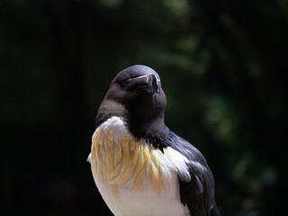 For enquiries: fredsounds at gmail.com