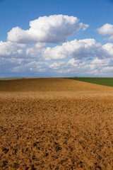 Landscape with fallow land recently plowed and cereal crops. A sunny day with cottony clouds