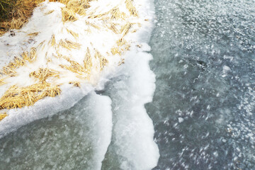 top view of the shore with frozen reeds