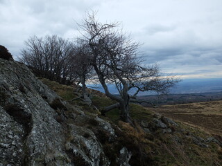 Grottes du Petit Suchet et du Clierzou (AUVERGNE)