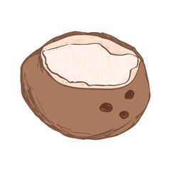 cartoon coconut. simple simple sketch of a coconut on a white background. illustration hand draws. broken coconut. vector isolated