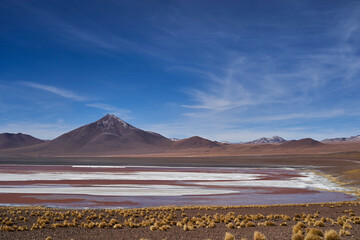Laguna Colorada, Red Lagoon, a shallow salt lake in the altiplano of Bolivia, within Eduardo Avaroa Andean Fauna National Reserve, with a characteristic red color from algae and home to many flamingos