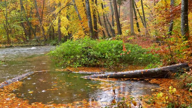 The Wuermtal between Gauting and Starnberg in autumn, Bavaria, Germany