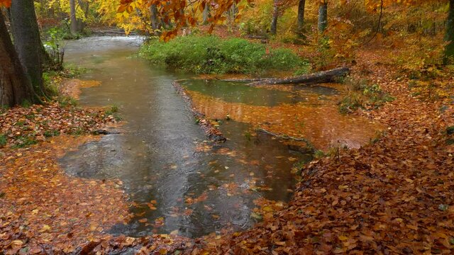 The Wuermtal between Gauting and Starnberg in autumn, Bavaria, Germany