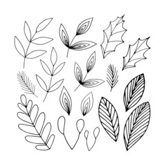Set of hand drawn floral line design elements in doodle style. Vector black line illustration with fir branches, holly leaves.
