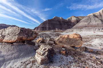 Fototapeta na wymiar Petrified Logs in Petrified Forest National Park, Arizona, US. Petrified Forest National Park is known for the fossils of fallen trees lived about 225 million years ago.