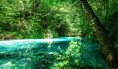 Nacedero rio Urederra