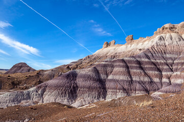 Petrified Logs in Petrified Forest National Park, Arizona, US. Petrified Forest National Park is...