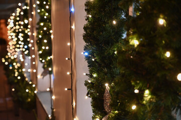 christmas tree at night