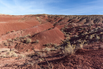 View of Petrified Forest National Park, Arizona, US. Petrified Forest National Park is known for...