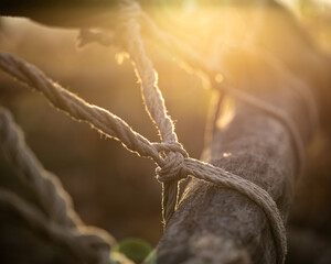 Rope on wood